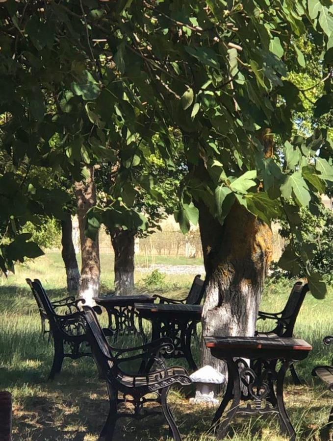 Chabiant Guesthouse Chateau Monolit Ikinci Yeniyol エクステリア 写真
