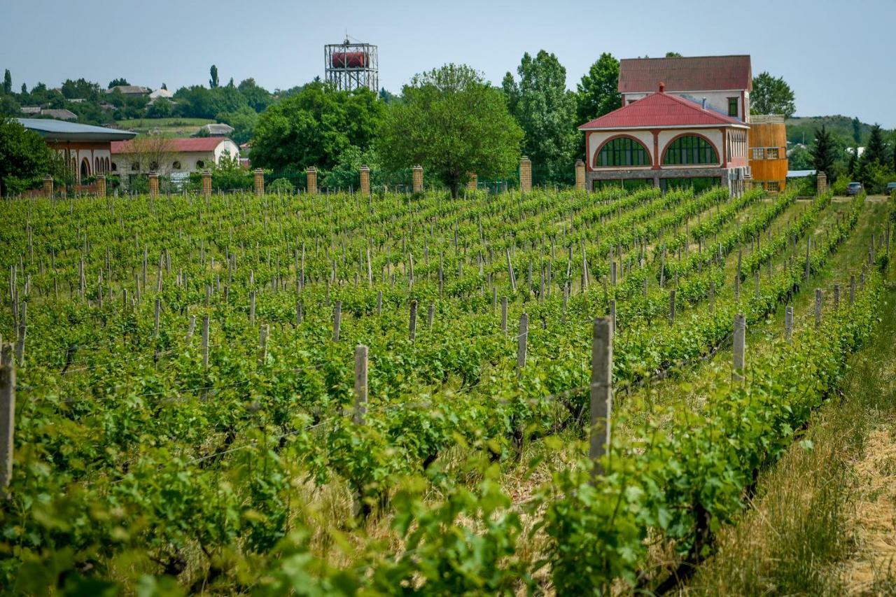 Chabiant Guesthouse Chateau Monolit Ikinci Yeniyol エクステリア 写真